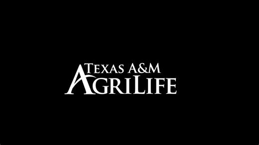 About - Texas A&M AgriLife