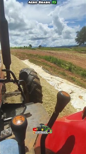 Massey Ferguson tractor #silage #corn #sweetcorn #machine #agriculturebrazil #operator