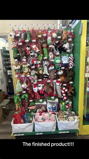Come start up the holiday spirit with Pet Supplies Plus! 🎄#fyp #christmas #petsuppliesplus #pspbristol