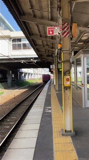 EF210桃太郎 通過