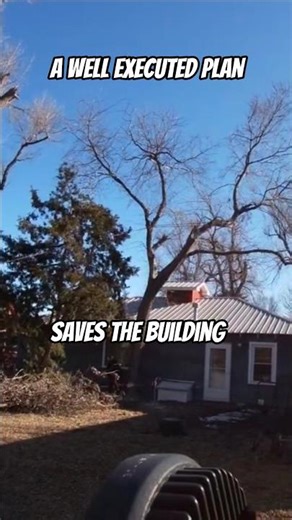 This backleaner tree required a well executed plan to avoid damage #arborist #hutchinson #kansas