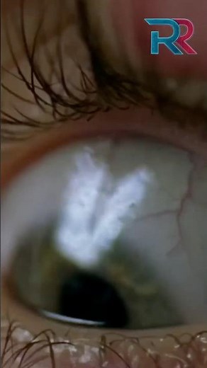 28 Weeks Later was Almost a Completely Different Movie! #horror #movie #viral #fyp #28yearslater