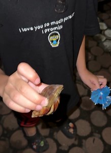 233K views · 8.6K reactions | Benjamin ang suso ni Pheno  | The Bautistas | Facebook