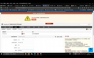 Applicatons Manager 服务器和虚拟化监视