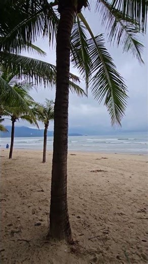 Gorgeous Da Nang Beach Vietnam Best Beach