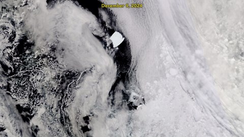 NASA Images Reveal World’s Largest Iceberg Escaping Antarctica