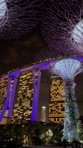 Exploring Gardens by the Bay & Marina Bay Sands 🇸🇬 #luxurytravel #singapore