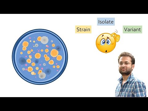 What is Strain, Isolate and Variant? Difference between.