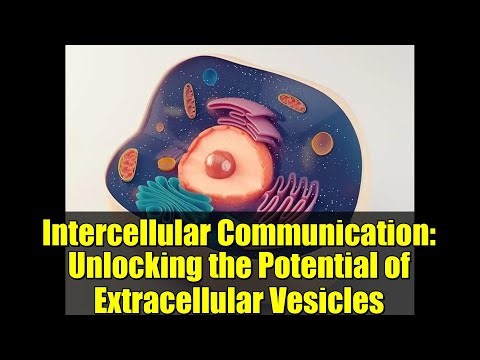 Intercellular Communication: Unlocking the Potential of Extracellular Vesicles