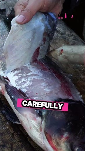 He Makes Clothing from Fish Skin