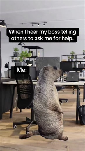 work memes and satire on Instagram: "Who me , funny work meme #funnyworkmeme"