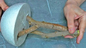 DIY Twig and Foam Craft Project