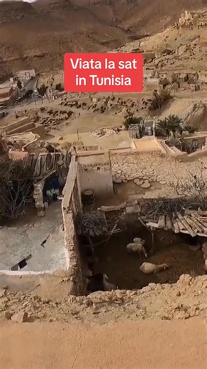 23K views · 216 reactions | Viata la sat in Tunisia | 2 Tickets | Facebook