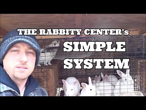 A SIMPLE RABBIT SYSTEM