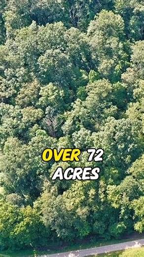 4K views · 53 reactions | Over 72 Acres of Unrestricted Land With So Much Potential. $89,900 | Abandoned Beautiful World | Facebook