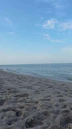 The Unspeakable World 🌎✨ #alanwatts #alanwattswisdom #listen #beherenow #flipthescript_ #fyp #fypシ | Veronica Fiorini