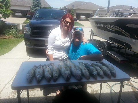 How to Fillet a Walleye Lake Erie Style