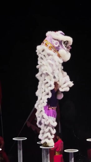 Lion dances are a must for every Spring Festival! Such a thrilling and spectacular lion dance performance! | Beautiful places in China