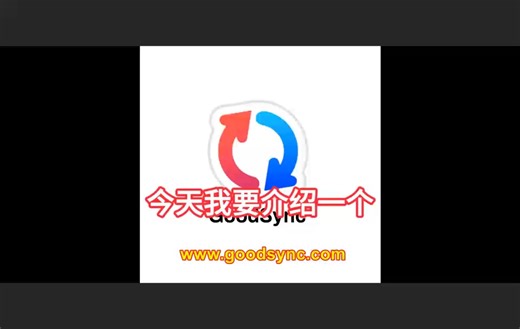 GoodSync