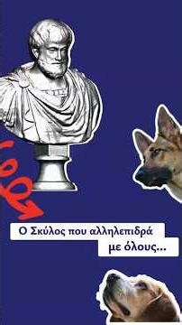 Ο σκύλος που αλληλεπιδρά με όλα...