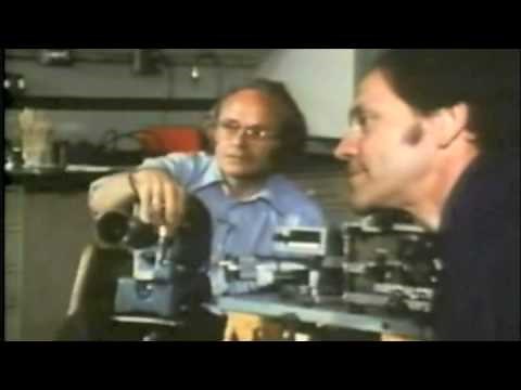 Hubel and Wiesel Cat Experiment