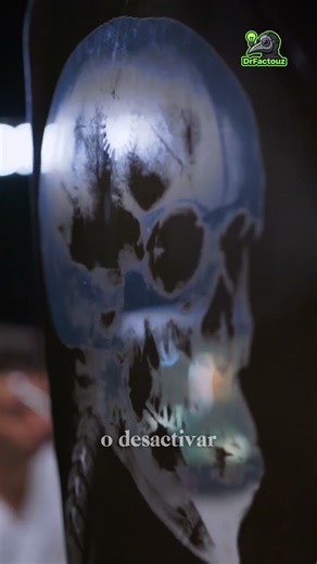 La Nueva CIENCIA: Optogenética