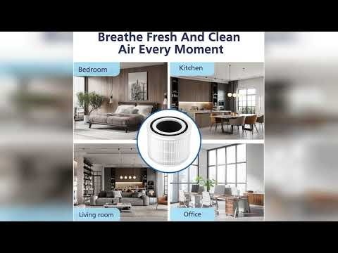 Review: Core 300 Replacement Filter, Compatible with LEVOIT Core 300/300S Air Purifier，3-in-1 ...