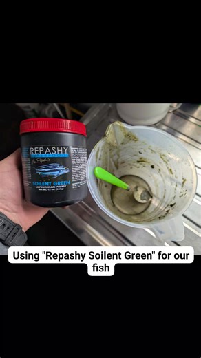 Repashy is a fantastic brand, they offer powder foods that is reconstituted with water and forms a gel food. The ingredients in these foods are amongst the finest available. We use Repashy Soilent Green for gobies, Hillstream loaches, Plecos and a variety of other loaches... Doesn't stop Danios having a nibble! | Sedgley Road Aquarium