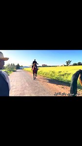 28K views · 1.2K reactions | شرينا عود ملكي بشروط اجيو نشوفوا كيفاش لقينا اعود فلعبار 樂 | Yuzar vlogs | Facebook