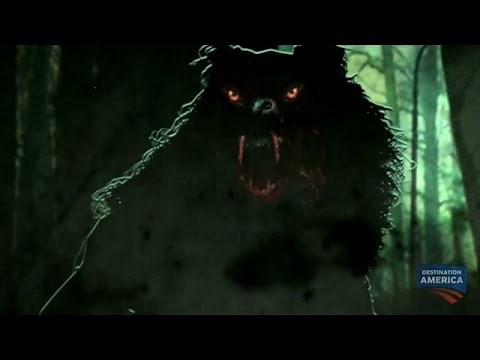 The Louisiana Wolfman | Swamp Monsters