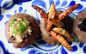 Los restaurantes con menú de insectos en la CDMX