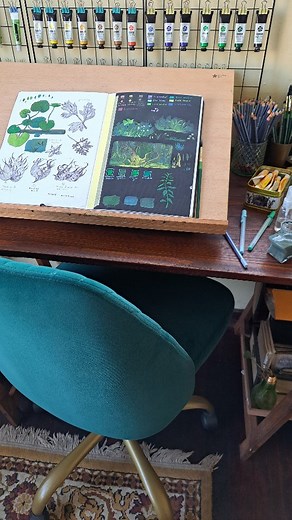 Sketchbook tour 🌱 I started this sketchbook in Dec 2023 and completed it a week ago. It's filled with experiments, studies, and illustrations. The full sketchbook tour will be on my youtube channel soon, and here's some commonly asked questions about my sketchbook: 🌱 What book is this? It's a 300gsm cotton paper sketchbook from @hahnemuehle_global 🌱 Does it come with the black pages? No the color paper is from Fabriano which I stick on the book separately 🌱 What paint do you use? I mostly us