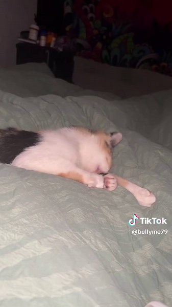 Biohazard Cleaning and Floor Scraping Experience