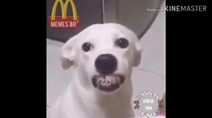 kkkkkkkk | Melhores Memes