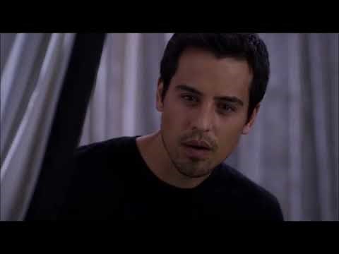 😍el talento de PAPI😍 (una chihuahua de beverly hills 2)