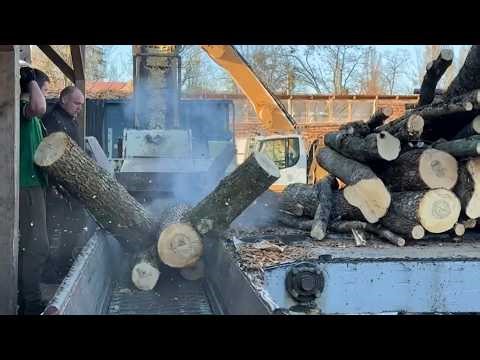 Wood Chips Production Best Moments Compilation.