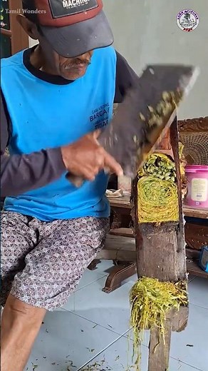 Indonesian agriculture | Tamil Wonders #tamilwonders #facts #tamil #shorts