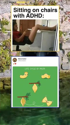 Life Cycle Of Pasta 🍝 #memes #funny