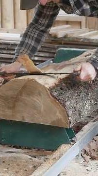 Building a LOG BENCH for my Tiny Cabin #tinycabin