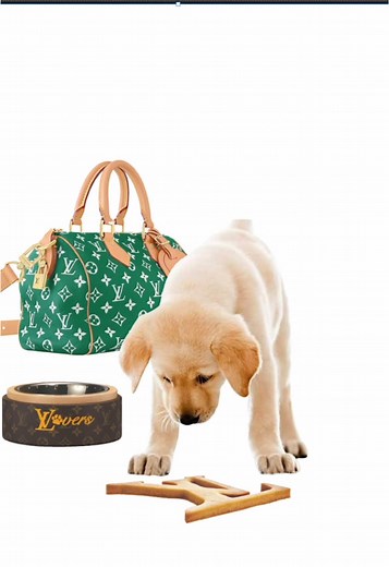 Louis Vuitton Inspired Graphic T-Shirt Design Ideas