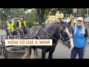 Why and how we use a whip when carriage driving