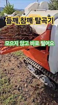 들깨털기,들깨탈곡기,참깨탈곡기,들깨터는방법,들깨타작,들깨터는기계,들깨쉽게베는방법,기계로들깨털기 #farming
