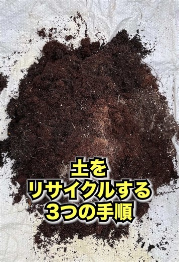 土のリサイクル法と家庭菜園のヒント