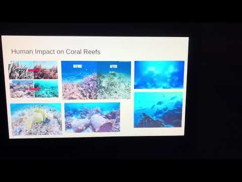 Unit 4 science project!