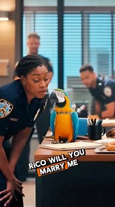 This Parrot Don't want a Problem 😂😂 #FunnyParrot #TalkingParrot #ViralShorts #ParrotComedy #LaughingParrot #PetHumor #ParrotFun #TrendingNow #ParrotLaughs #ViralReels | Parrot Talking