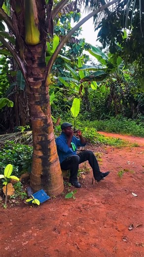 Joe Fozy on Instagram: "Kumerica Is Back Now Again 🏋️‍♀️ After Three Years Now The Kumerica Song Originally Released By Kumasi Musicians ✋ And Now JOE FOZY ‼️Has Become A New Artist Who Is Original Musician Who Is Being Back The Kumerica Music 🎶 Now #Joefozymusic @Joe Fozy @Joefozymusic 🇬🇭🌏🔋🔜 #Kumerica @mirakilouz_beatz"