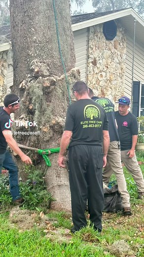 #elitetreecarefl #trees #service #helpful #letsgo #centralflorida #family #removal #treework #oaktree #integrity #next #teamworkmakesthedreamwork #oaks #arborist