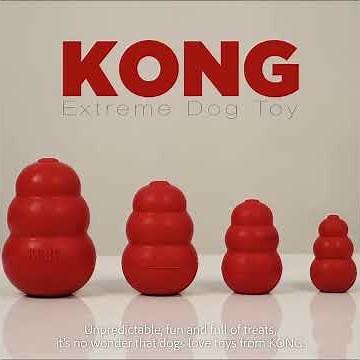 How to use Kong Extreme Toys for Dogs - Dog Toys at Heads Up For Tails - Aggressive Chew Dog Toys