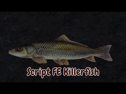 Script FE Killerfish | SlapBattles