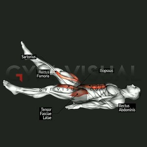 12K views · 567 reactions | FLUTTER KICKS exercise... Anatomy of exercises for your projects on Gym visual - gymvisual.com | Gym visual | Facebook